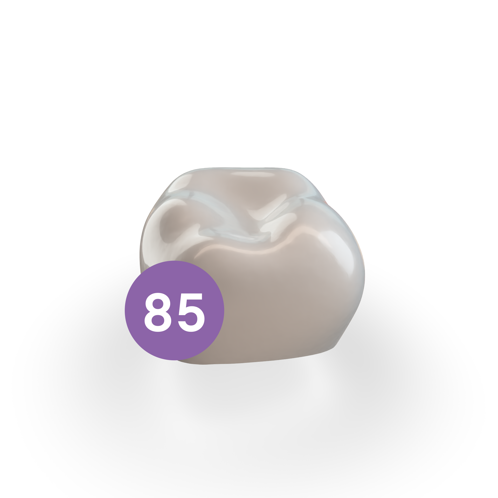Second Molar LRE (85)